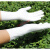 工业用一次性手套 12寸白丁晴加长一次性乳胶手套修理加厚橡胶胶 12寸(加长加厚)白色50只 M