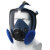 WORK CARE防毒面罩防甲醛苯喷漆有机气体硅胶全面罩防尘工业专用面具 W8800 【硅胶防毒全面罩】 （裸面罩）