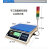 定制莞龙上下限报警秤声光同步检重定量灌装电子称30/20/15kg/0.1 6kg/0.1g带灯