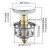 庆工家用型通用洗脸盆下水器配件弹跳芯盖洗脸池台盆手盆漏水塞按压式 黄铜弹跳芯塞子【通用款】1个装