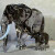 施华洛世奇（SWAROVSKI）摆件纪念版SCS会员fayola 大象水晶家居摆件女友节日礼物 大象Zena5607667