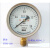北京布莱迪氧气压力表YTFO-100(禁油氧气专用   外螺纹M20*1.5 0-2.5MPA