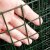 祥利恒荷兰网 铁丝网围栏 防护网护栏网隔离网 养鸡网养殖网建筑网栅栏 1.8米*30米 18kg