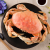 【鲜活发货】加拿大进口珍宝蟹太子蟹鲜活超大螃蟹海鲜水产 二斤装左右双人餐 鲜活蟹