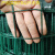 定制适合铁丝网养殖网鸡舍棚防护网菜园围栏护栏网栅栏玉米铁丝网隔离网 1.2米高2.8毫米粗6厘米孔30米