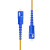 蓝邮 光纤跳线 SC-SC 单模双芯 黄色 10m SC/UPC-SC/UPC单模双芯10米