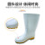 丽泰雨鞋卫生靴白色中高低筒耐油耐酸碱防水防滑雨靴牛筋底 丽泰白色雨靴高筒 36