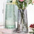 丹斯提尼简约创意透明玻璃花瓶桌面水养玫瑰鲜花瓶北欧ins风客厅插花摆件 金口麻块+金口水波纹[两件套]