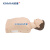 欣曼科教 高级半身心肺复苏模拟人 CPR心脏复苏按压急救半身人体模型假人