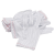 SAFECO 无尘手套 工业生产透气薄款劳保作业手套双面条纹 10副/包