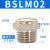 亚德客电磁阀气动黄铜消音器BSLBSLM M5 01 02 03 04平头消音器 BSLM02