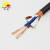 丰旭 电线电缆 RVVP2芯1.5平方控制电缆 2芯信号线 两芯屏蔽线 RVVP2*1.5 100米