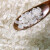 七淘仔珍珠米长粒香米圆粒米现磨东北大米10斤当季新米粳米5kg 珍珠米新米10斤