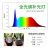光联天下30W工程款led射灯全光谱植物补光灯泡块根多肉鱼 30W工程款专色5000K36 鱼缸爆藻
