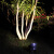 灯典（DENG DIAN）庭院花园照树灯室外防水公园景观投光灯绿化插地LED射树灯G-013554-加地插 15w 3000K IP65
