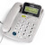 TCL17B家用办公室电话机 老年人声音大固话座机电话里台式座机 白色TCL17B屏幕可翻转