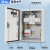 双电源转换开关配电箱自动转换切换箱2P4P63A100A消防控制柜380V 4P160A双电源+配电箱(带指示出