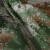 者也 混绿色分体雨衣雨裤防水防汛反光雨衣套装分体男女高速路道路公路巡逻劳保雨衣 分体迷彩 M码（165）