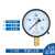适用上海仪川仪表 径向负压真空压力表Y100 水压油压气压表 01.6 压力真空表Y100 0.10.P