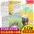 沈石溪注音版读本全集全套22册 狼王梦斑羚飞渡沈石溪的书系列6-8-9-10-12岁生课外正版绝境 沈石溪动物小说注音版读本全22