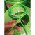 包塑钢丝绳绿色遮阳网葡萄架搭大棚牵引百香果猕猴桃细软晾衣绳 3毫米升级镀铜钢丝绳100米+20卡扣