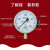 红旗 红旗牌仪表YTZ-150电阻远传压力表变频器专用恒压供水远程传感表 0~4MPa 