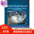 全球洪水灾害 建模、制图与预测中的应用 Global Flood Hazard 英文原版