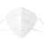 中科贝思达  ZKG9501 耳戴式防护口罩 独立包装 KN95 白色 1盒（50只）