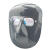 惠利得 添新焊友焊工专用脸部防护面罩头戴式电焊面罩焊接防烤脸面具 BX-6面罩+灰色眼镜x1+松紧带