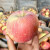 农仙味新疆阿克苏冰糖心红富士丑苹果水果时令节日送礼冰糖心苹果整箱 带箱10斤装一级果 单果75-85mm