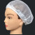 透气网帽男女通用无尘车间防掉头发工厂工作帽帽艾灸浴帽可水洗头 (粉色)1个