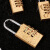 者也（ZYE）黄铜密码挂锁 4轮密码（小号）防盗拉杆箱锁柜门锁防水防锈