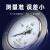 SYCIF上海仪川仪表厂测水压负压空调机油真空压力表轴向带边 Y100ZT 00.1MPA 01公斤