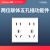 飞雕（FEIDIAO）插座面板 118型暗装 雅润118系列-优雅白 10A 250V/两位联体五孔插功能件 