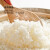 崇明大米绿色食品认证大米5kg生态米粳米软糯香崇明香米农场 5kg*1袋