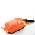 聚远（JUYUAN）水域救援绳包荧光救生绳抛绳包防汛救生装备 橙色绳包（粗）12毫米（长）21米 一套价