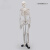 东部工品 人体骨骼模型 全身骨架展示教学模型 人体骨骼模型42cm 