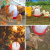 齐鲁安然 鸡用自动饮水器 家禽喂水器 饮水壶小鸡鸭鸽子水桶养鸡用品设备 鸡饮水桶【8升容量】