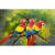 鹦鹉新中式纯手绘油画玄关装饰画客厅抽象多巴胺色彩肌理动物挂画 鹦鹉 110*70cm 玫瑰金【铝合金框】