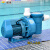定制适用蓝泳HL大款水泵泳池水疗按摩吸污游泳池带毛发过滤器循环过滤水泵 HL-2.0HP2F220V HL-4.0HP/380V