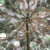 金树叶 野营迷彩遮阳伞 3.2m圆形岗亭遮阳遮雨带金属底座 丛林色A