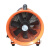 博雷奇手提式轴流风机220v便携排气扇抽风防爆工业除粉尘设备抽风机 8寸手提风机(普通款)