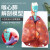 自然大人体喉心肺模型 喉咙甲状腺 肺 心脏模型 人体呼吸模型 喉心肺模型带51个标识