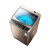 扬子11.6KG智能风干全自动洗衣机家用蓝光洗护大容量波轮洗脱一体机 咖色