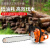 琛选工品 伐木油锯 多用园林砍树伐木锯 锯园林油锯 单位：台 2500油锯 