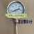 上海天湖WSS-双金属温度计水温表径向工业锅炉管道温度表 任意温度探头L=300MM