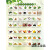 食物相宜表日常生活蔬菜饮食健康家庭小常识海报图片大挂图墙贴纸 日常食物-相克表 60*90厘米  相纸(厚/背面无胶)
