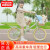 飞鸽（FLYING PIGEON）儿童自行车中大童6-10-15岁中小学生男孩女孩脚踏车公主单车 绿色 辐条轮+骑行礼包 16寸适合身高115-125cm