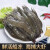 新鲜虾类 海捕大海虾 鲜活船冻冷冻盐冻虾 约 3斤装 12厘米白虾