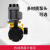 重巡(JBB系列100L0.4MPA)GM机械隔膜计量泵污水投药装置加药泵调节流量泵剪板H1